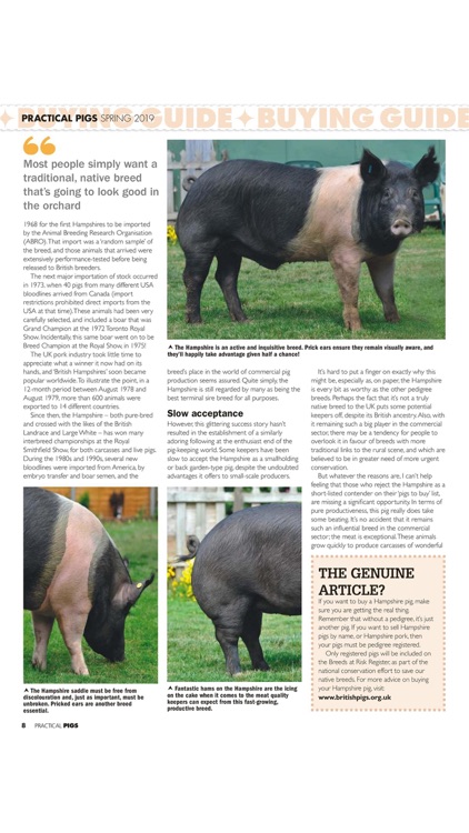 Practical Pigs Magazine screenshot-7