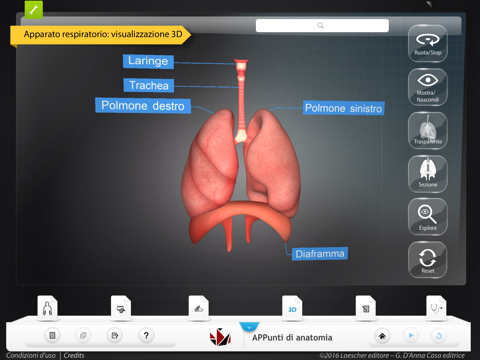 APPunti di anatomia screenshot 4