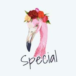 Flamingo Tropical Stickers