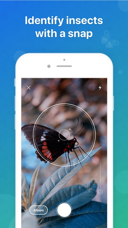 Picture Insect - Insect Id Pro