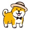 Cute dog expressions, with cute text, full of cute atmosphere, very suitable for use in chatting, come and download and share with good friends