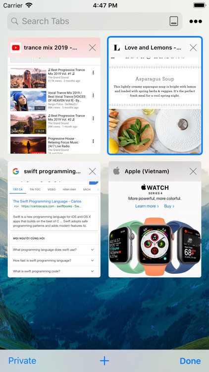 RedApp Web Browser screenshot-3