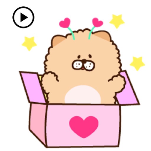 Animated Cute Chow Chow Dog