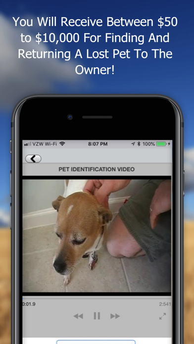 Pet Video Verify screenshot 3