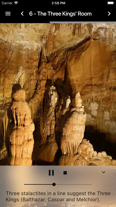 Visite Grotte de la Cocalière screenshot 4