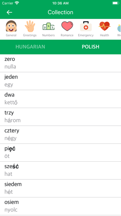 Hungarian Polish Dictionary screenshot 2