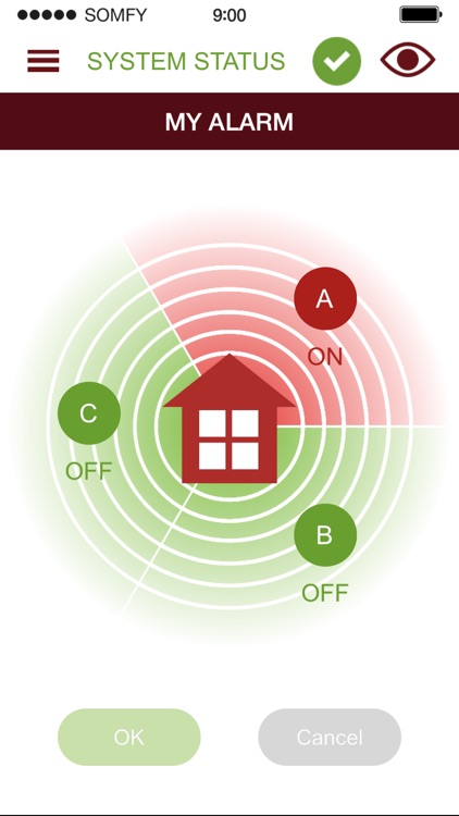 Somfy Alarm