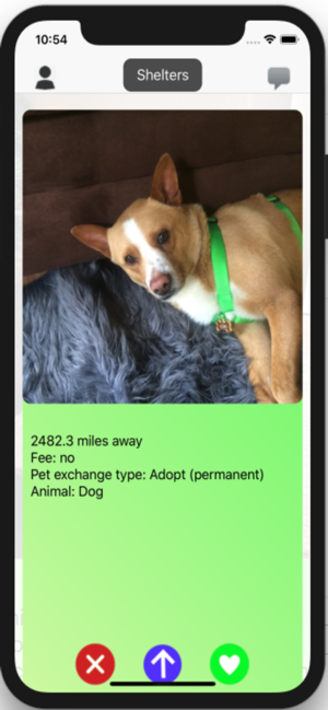 Pet Adopter: adopt pets(圖2)-速報App