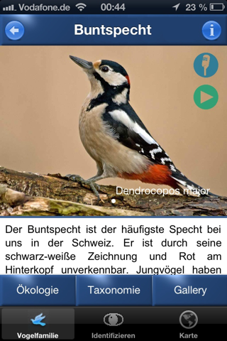 Vogel Id Gartenvögel bestimmen - náhled