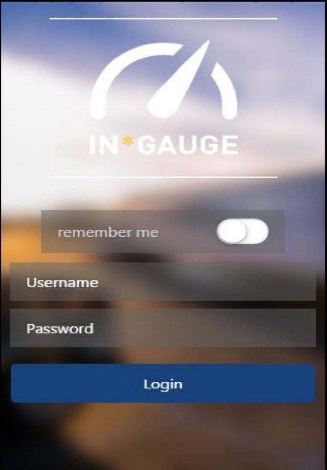 Swift In*Gauge screenshot 2