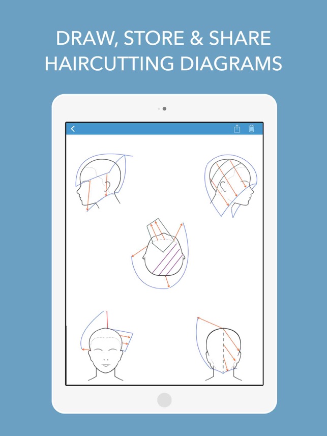 \u200eHairTech,Head Sheets