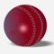 Speed Radar Gun for Cricket allows coaches, players and fans to calculate, display and store the speed of their bowling