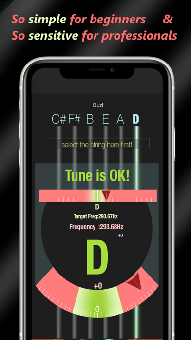 UD Tuner Screenshot 1