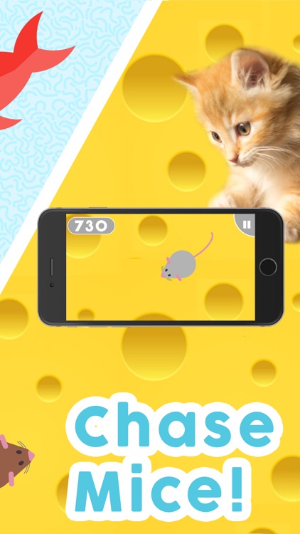 Games for Cats!