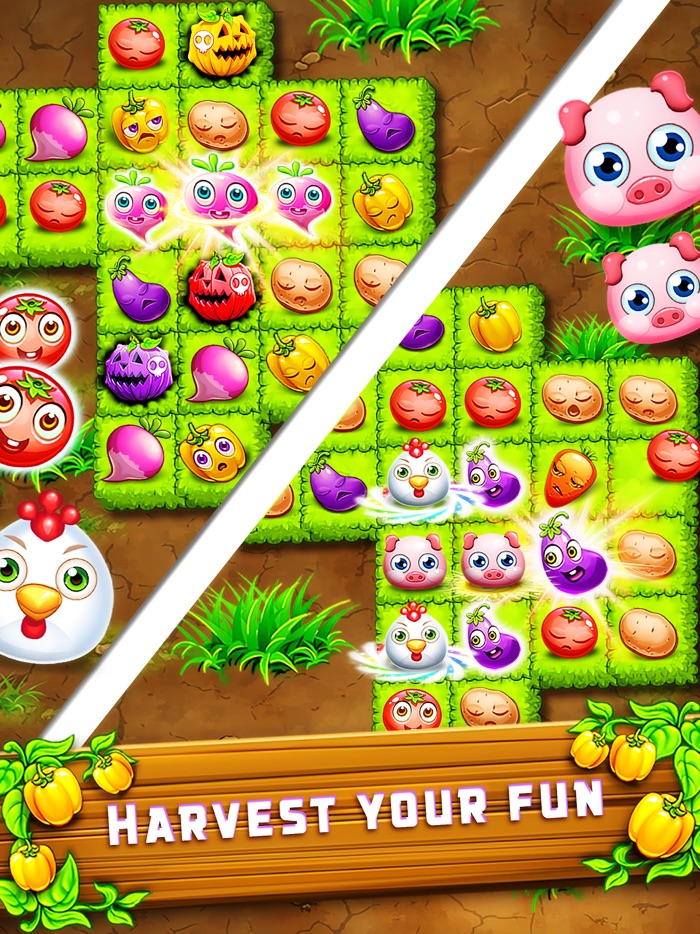 Garden Craze - Colorful Quest