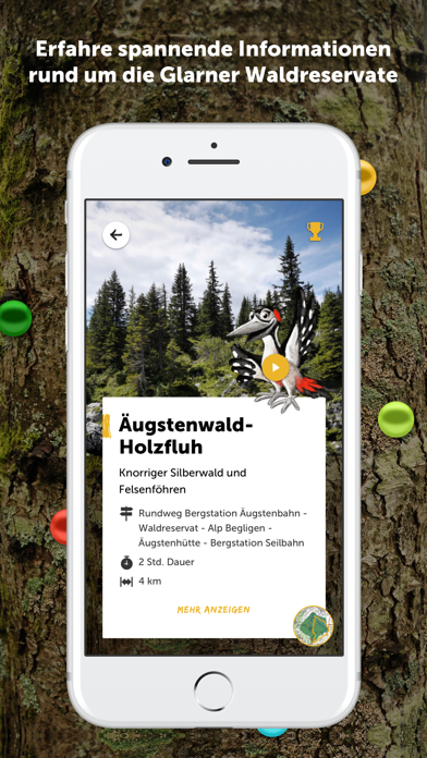 Glarner Waldperlen screenshot 2