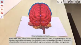 ar human brain iphone screenshot 4