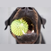 Dog Squeaky Toy Sounds pour PC
