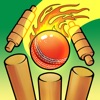 Real Cricket Bowling Practice