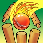 Real Cricket Bowling Practice