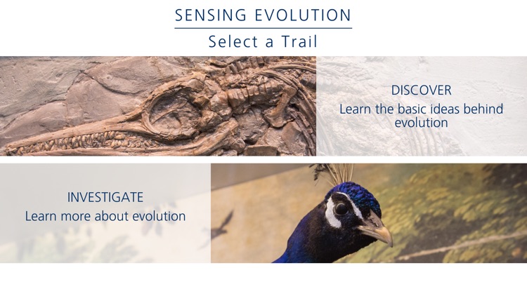 Sensing Evolution