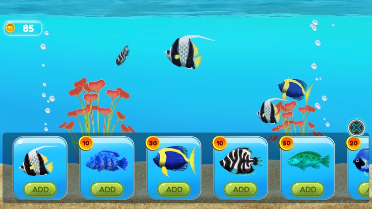 My Virtual Fish Tank by Siva Vaidya