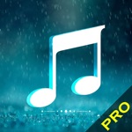 Rain Sounds Collection Pro