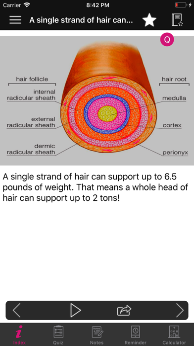 Human Anatomy Hair Facts,Quiz screenshot 2