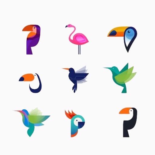 Learning Birds Puzzle