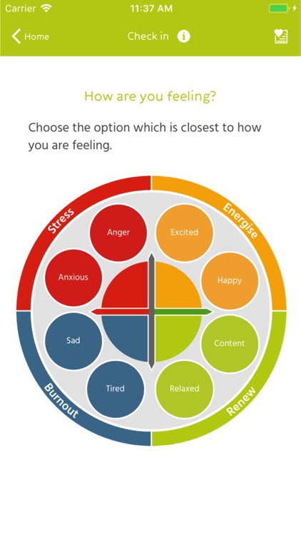 Emotional Intelligence Zone