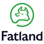 Mitt Fatland