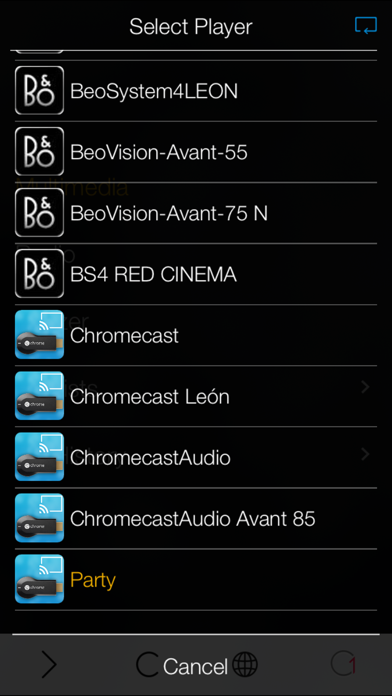 C5 - Stream DLNA Cast Player screenshot 4