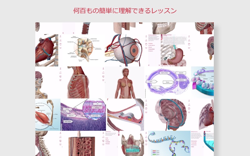 解剖学的構造と生理学 screenshot1