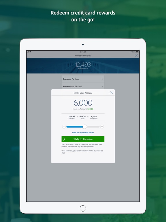 iPad Image of Capital One Mobile