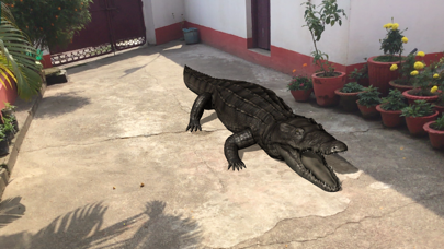 AR Real Animals screenshot 3