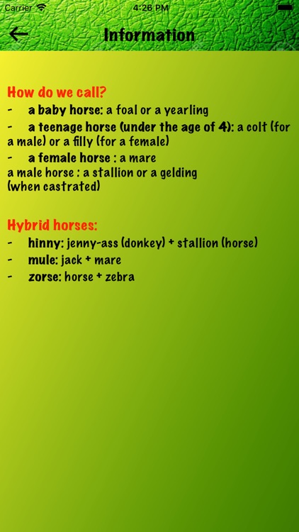 Horse Lovers screenshot-8