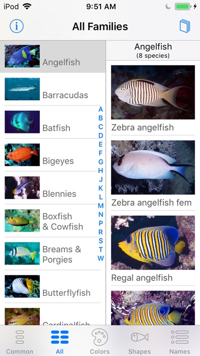 Red Sea Fish ID Screenshot 2