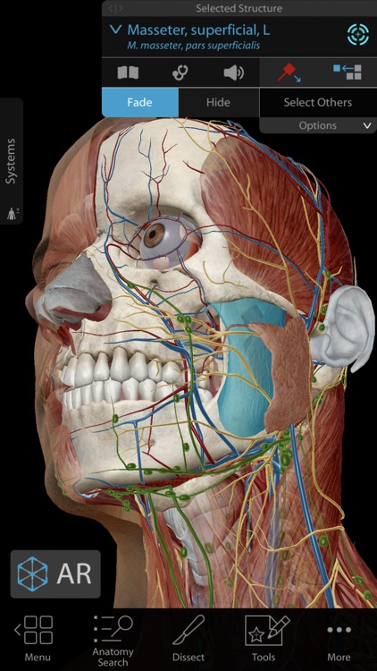 Human Anatomy Atlas 2019 screenshot-0