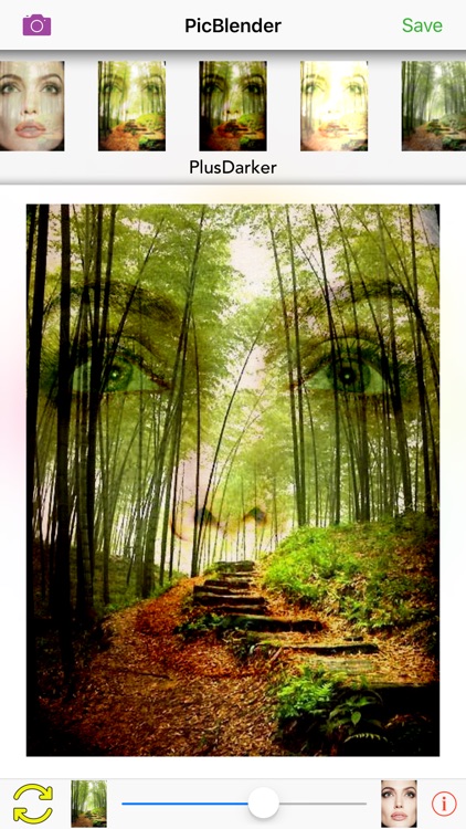 PicBlender screenshot-4