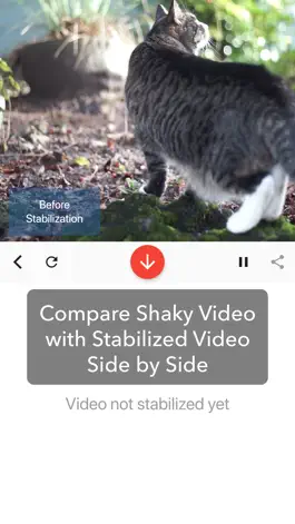 Game screenshot Deshake Video - Stabilization apk