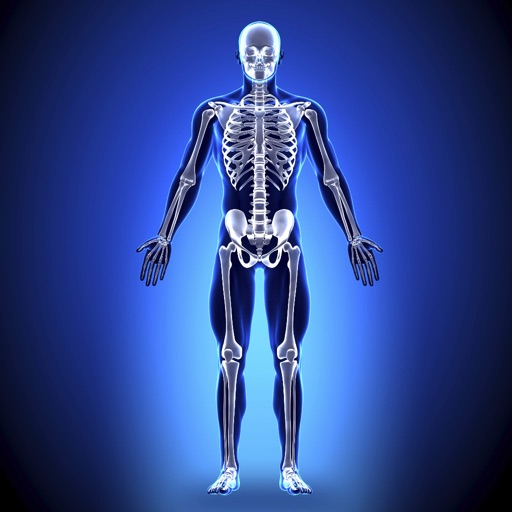Anatomy - Skeletal System Icon