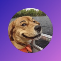 Animal Funny Face Stickers