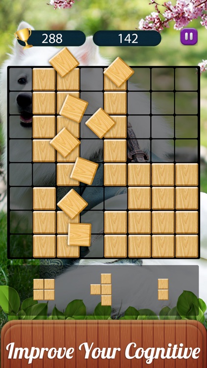 Woodscapes - Wood Block Puzzle screenshot-4