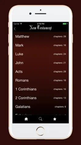 Game screenshot Daily Bible reading in HNV apk