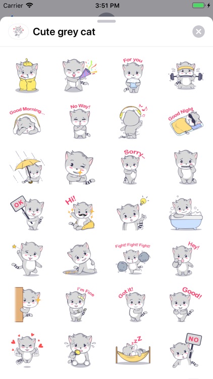 Cute grey cat sticker