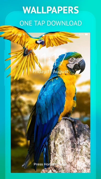 Wallpapers - for Everyday