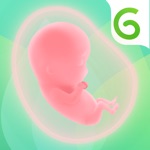 Pregnancy + Baby App: Nurture