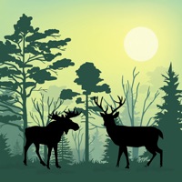 Forest Animals Simulator