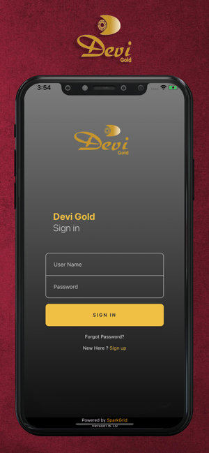 Devi Gold Cast