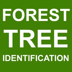 Activities of Forest Tree Identification